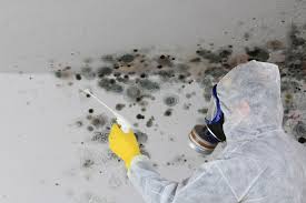 Best Commercial Mold Inspection  in USA